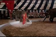 Show_thumb_whenthecircuscametotown3