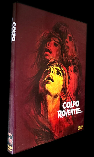 Large_colporolvente_dvdsleeve